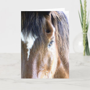 Carte La photographie d'âme de visage de cheval en gros 