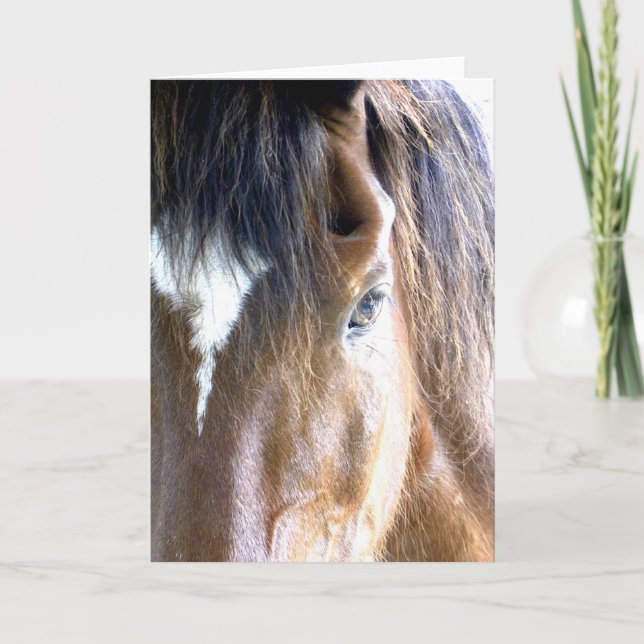 Carte La photographie de près du visage de cheval de l'â (Devant)