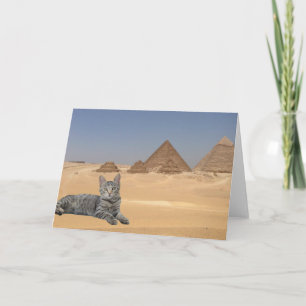 Carte La règle des chats !