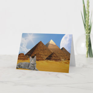 Carte La règle des chats !