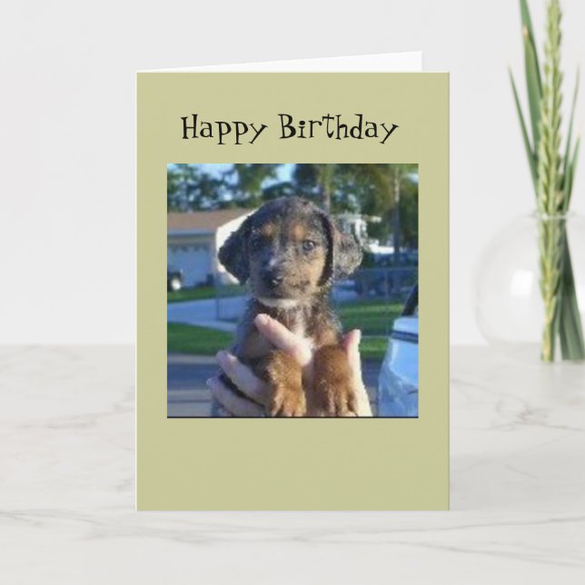 Carte La savane (Devant)