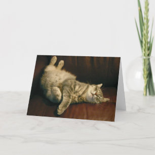 Carte La sieste de chat - à l'extrême