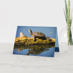 Carte La tortue