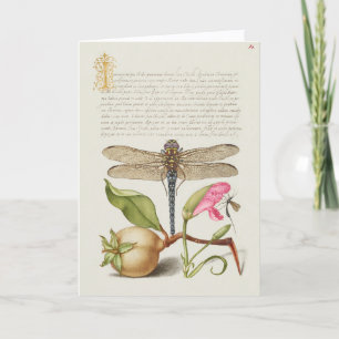 Carte La vie du jardin, Libellule, Poire, Œillet et Inse