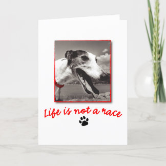 Carte La vie n'est PAS une race