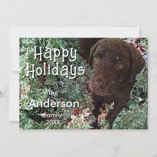 Carte Laboratoire de chocolat dans la verdure d'hiver -