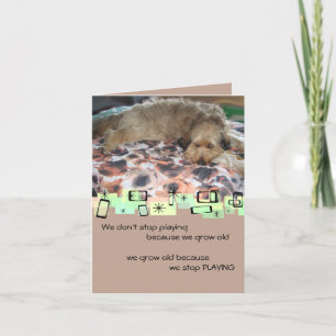 Carte Labradoodle Birthday Greeting Card