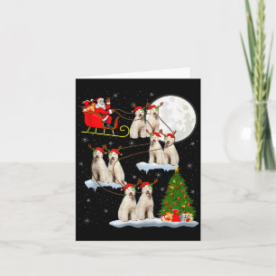 Carte Labradoodle Chien Père Noël Traîneau Volant Drôle 