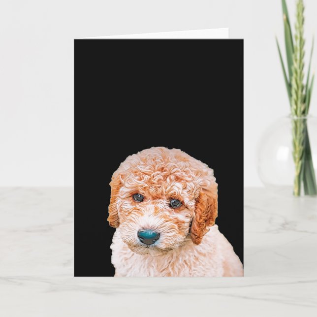 Carte Labradoodle Chiot (Devant)