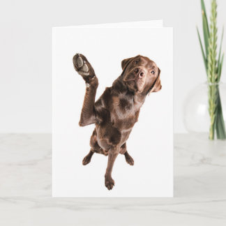 Carte Labrador avec Big High Five