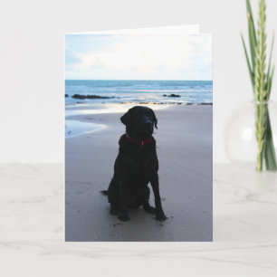 Carte Labrador noir sur une plage