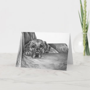 Carte Labrador on chair drawing by Kelli Swan