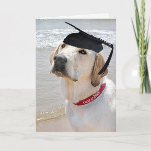 Carte Labrador Retriever 2026 avec chapeau de diplômé