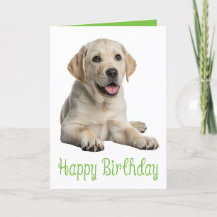 Carte Labrador Retriever Anniversaire Yellow Lab Chien c