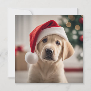 Carte Labrador Retriever Christmas