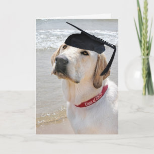 Carte Labrador Retriever Graduation 2024