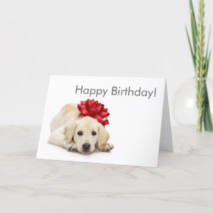 Carte Labrador Retriever Happy Birthday Card