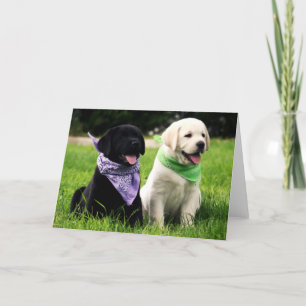 Carte Labrador Retriever Puppies Blank Greeting Card