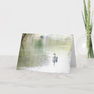 Carte Lac Swan