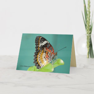 Carte Lacewing rouge Buterfly