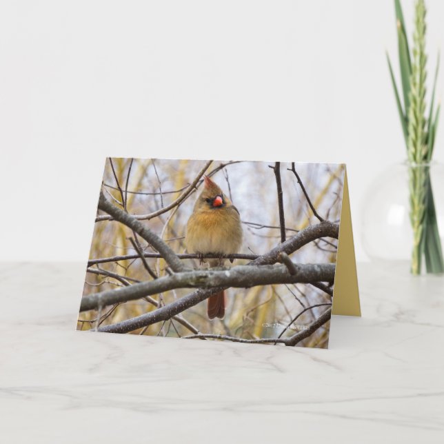 Carte Lady C (Devant)