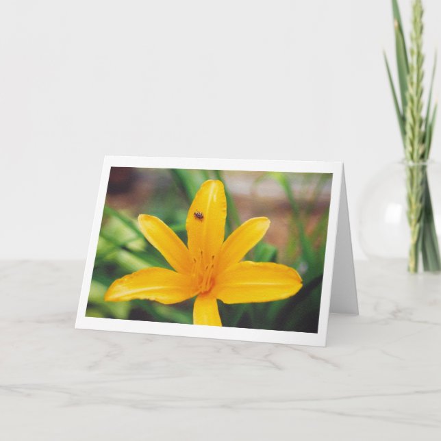 Carte Ladybug (Devant)