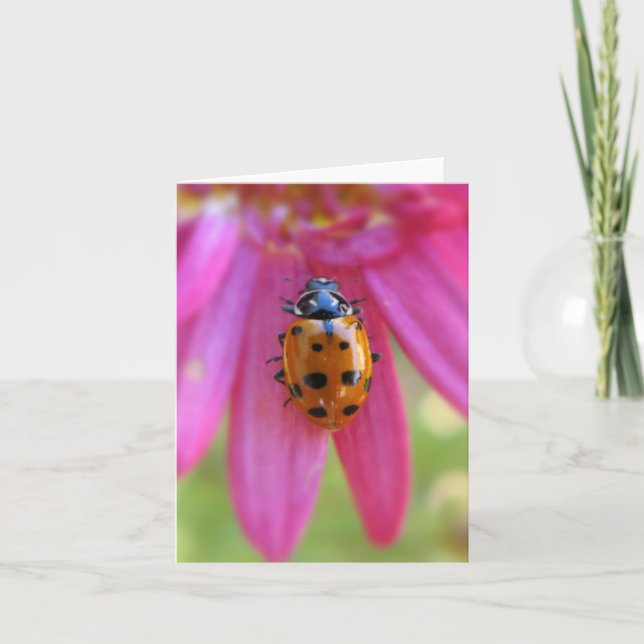 Carte Ladybug (Devant)