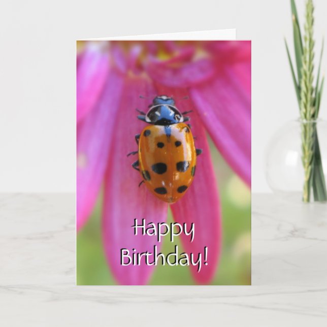 Carte Ladybug Birthday Card (Devant)