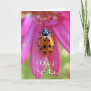 Carte Ladybug Birthday Card