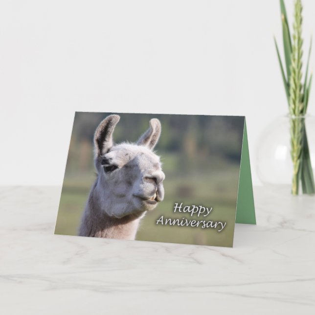 Carte Lama heureux d'anniversaire de l'anniversaire (Devant)