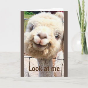 CARTE LAMA NE PEUT PAS LE CROIRE ! ! ! VOUS NE POUVEZ PA