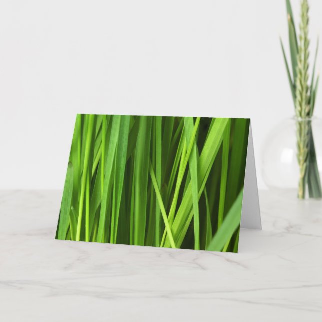 Carte Lames d'herbe (Devant)