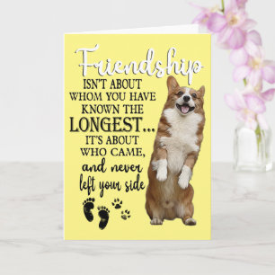 Carte L'amitié avec un Corgi n'est pas liée à ceux que v