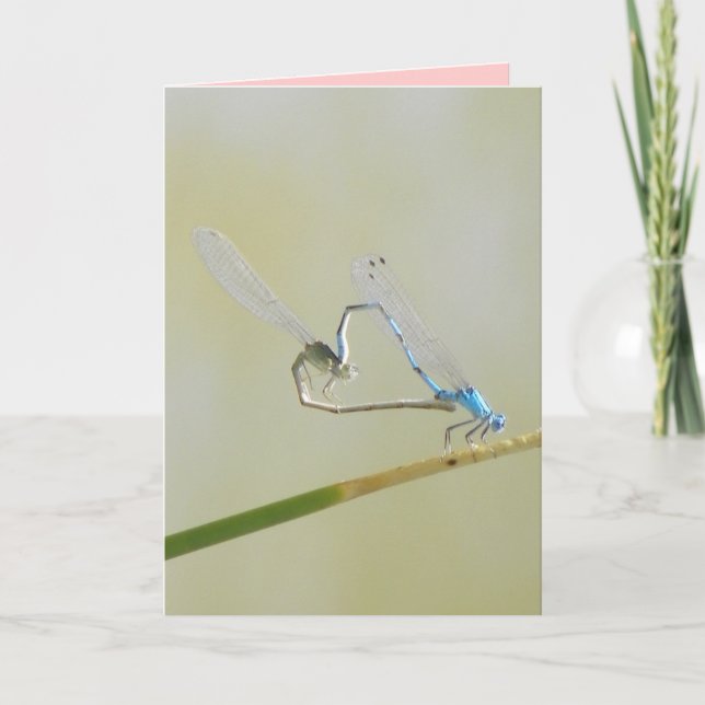 Carte L'Amour des libellules (Devant)