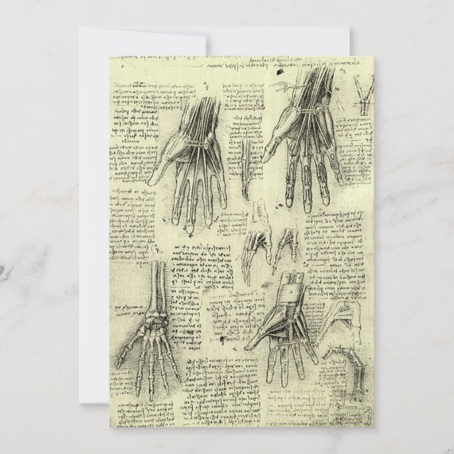 Carte L'anatomie de la main humaine de Léonard de Vinci (Devant)