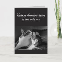 L'anniversaire a aimé un humour de chat