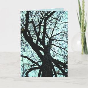 Carte L'anniversaire de l'arbre