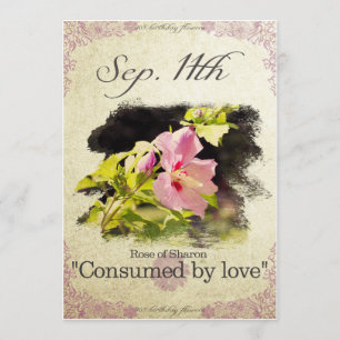 Carte L'anniversaire fleurit le 11 septembre le "rose de