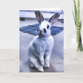 Carte Lapin blanc et noir