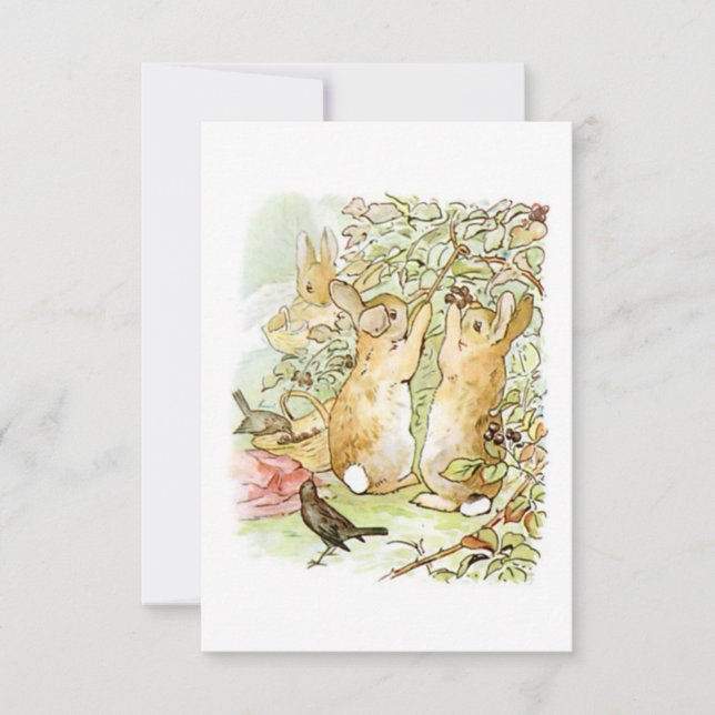 Carte Lapin : cueillette de Blackberry (Beatrix Potter) (Devant)