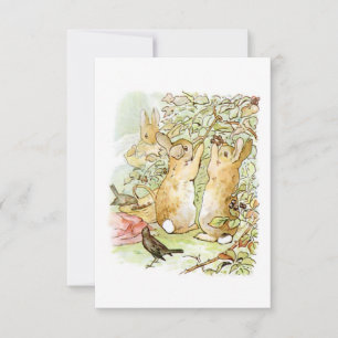 Carte Lapin : cueillette de Blackberry (Beatrix Potter)