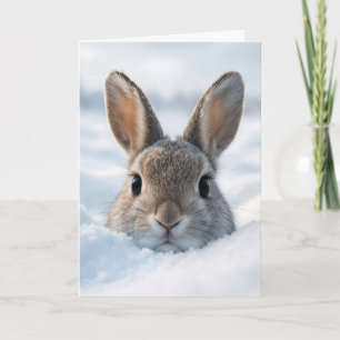 Carte Lapin d'anniversaire dans une congère
