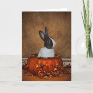 Carte Lapin Dans Un Citrouille