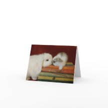 Lapin de mère et de bébé