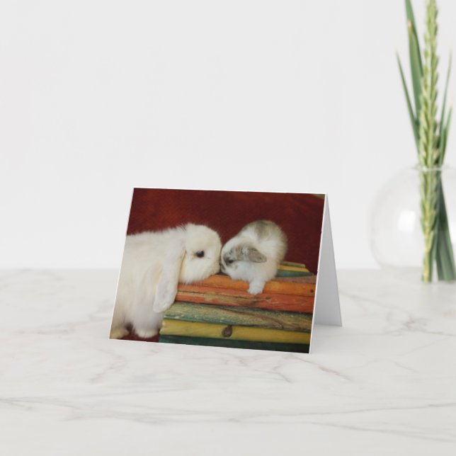 Carte Lapin de mère et de bébé (Devant)