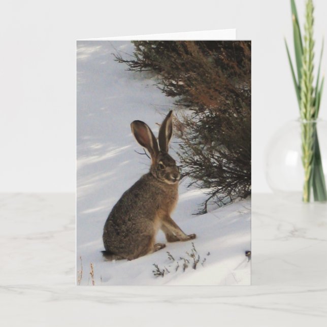 Carte Lapin De Neige (Devant)