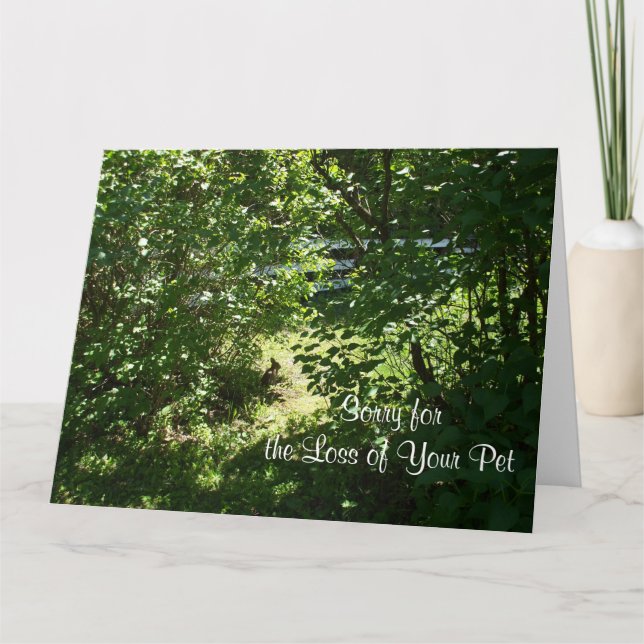 Carte Lapin - Perte d'un animal de compagnie (Devant)