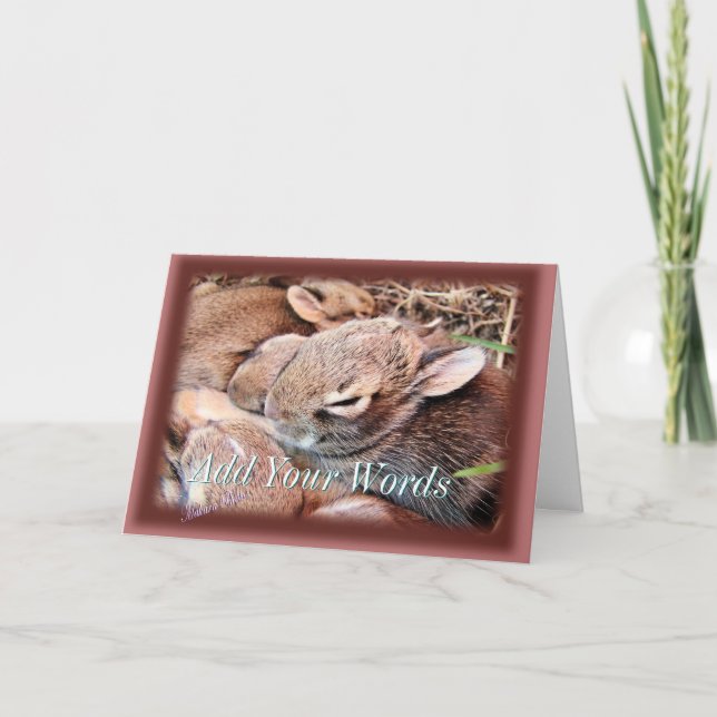 Carte LapinsBébés-toute occasion-personnaliser (Devant)