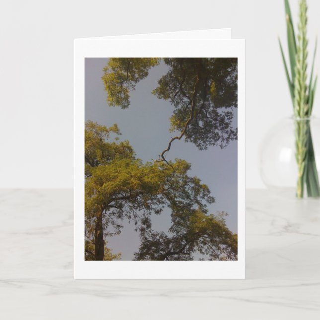 Carte L'arbre de la vie vit longtemps et prospère (Devant)