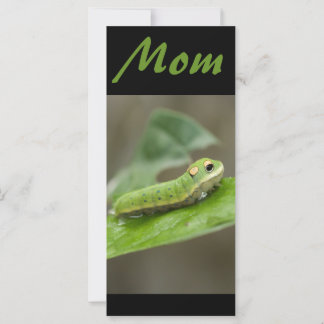 Carte Larva de la chenille papillon